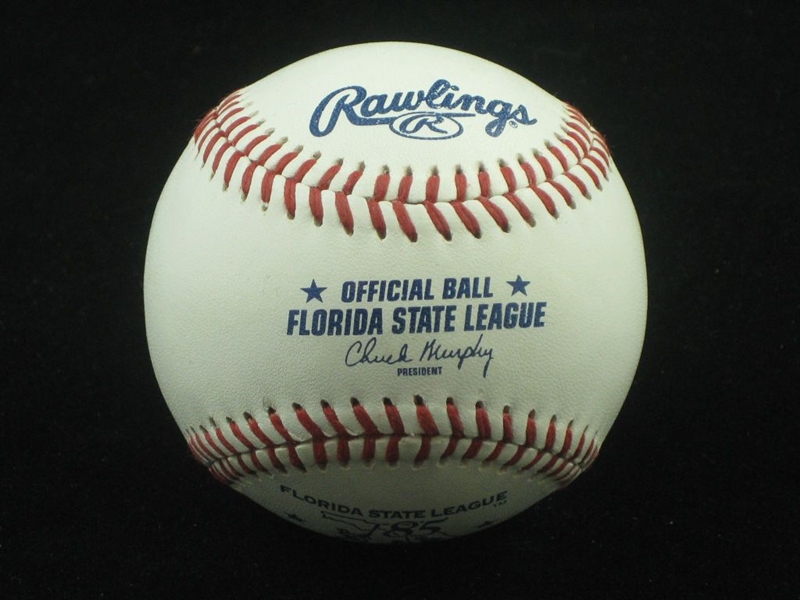 2003 Official Florida State League Baseball 85th Anniversary NEW UNUSED