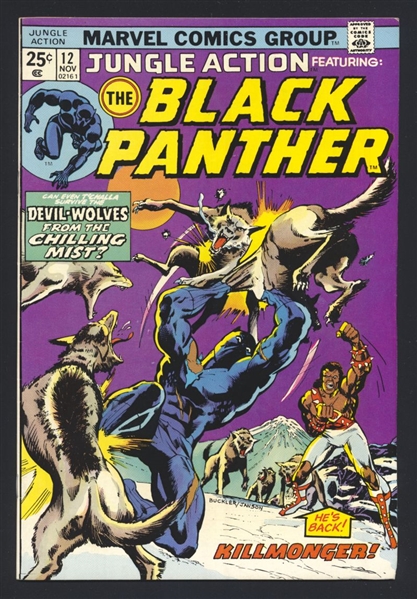 Jungle Action #12 VF Black Panther 2nd King Cadaver 1974 Marvel Comic Book